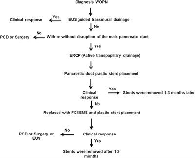 Frontiers Endoscopic Transpapillary Drainage For Walled Off